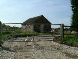 drive.JPG (97211 bytes)